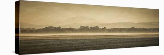 Schwartz - Sauvie Island Serenity-Don Schwartz-Stretched Canvas