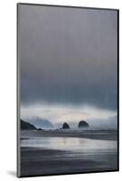 Schwartz - Sea Stacks at Sunset-Don Schwartz-Mounted Art Print