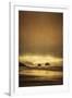 Schwartz - Sea Stacks at Sunset-Don Schwartz-Framed Art Print