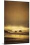 Schwartz - Sea Stacks at Sunset-Don Schwartz-Mounted Art Print