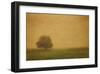 Schwartz - Silent and Still-Don Schwartz-Framed Art Print