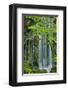 Schwartz - Silky Falls-Don Schwartz-Framed Art Print