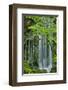 Schwartz - Silky Falls-Don Schwartz-Framed Art Print