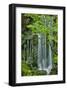 Schwartz - Silky Falls-Don Schwartz-Framed Art Print