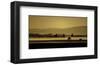 Schwartz - Soft Blanket of Fog-Don Schwartz-Framed Premium Giclee Print