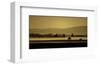 Schwartz - Soft Blanket of Fog-Don Schwartz-Framed Premium Giclee Print