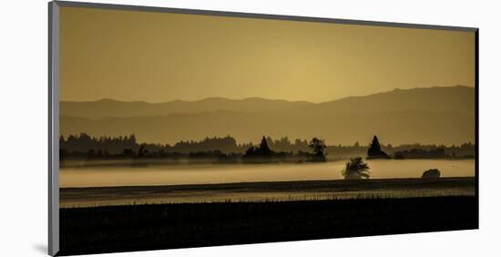 Schwartz - Soft Blanket of Fog-Don Schwartz-Mounted Premium Giclee Print