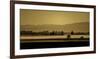 Schwartz - Soft Blanket of Fog-Don Schwartz-Framed Premium Giclee Print