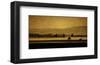 Schwartz - Soft Blanket of Fog-Don Schwartz-Framed Art Print