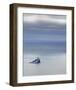 Schwartz - Tillamook Rock Lighthouse-Don Schwartz-Framed Art Print