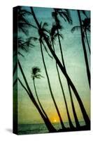 Schwartz - Tilting Palms-Don Schwartz-Stretched Canvas