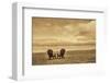 Schwartz - Two Chairs on the Sand-Don Schwartz-Framed Premium Giclee Print