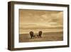 Schwartz - Two Chairs on the Sand-Don Schwartz-Framed Art Print