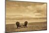 Schwartz - Two Chairs on the Sand-Don Schwartz-Mounted Art Print