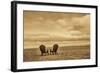 Schwartz - Two Chairs on the Sand-Don Schwartz-Framed Art Print