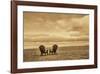 Schwartz - Two Chairs on the Sand-Don Schwartz-Framed Art Print