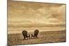 Schwartz - Two Chairs on the Sand-Don Schwartz-Mounted Art Print