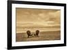 Schwartz - Two Chairs on the Sand-Don Schwartz-Framed Art Print