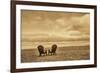 Schwartz - Two Chairs on the Sand-Don Schwartz-Framed Art Print