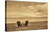 Schwartz - Two Chairs on the Sand-Don Schwartz-Stretched Canvas