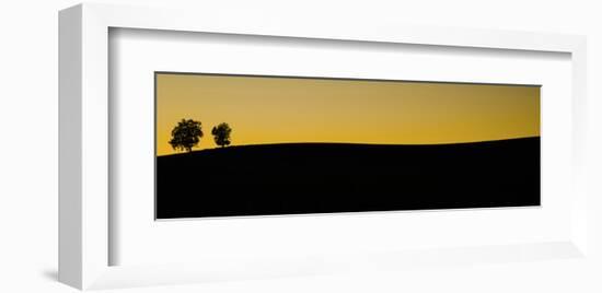 Schwartz - Two Trees at Sunset-Don Schwartz-Framed Art Print