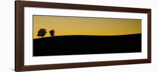 Schwartz - Two Trees at Sunset-Don Schwartz-Framed Art Print