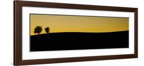 Schwartz - Two Trees at Sunset-Don Schwartz-Framed Art Print