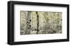 Schwartz - Wisp of Gold-Don Schwartz-Framed Art Print