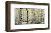 Schwartz - Wisp of Gold-Don Schwartz-Framed Art Print