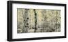 Schwartz - Wisp of Gold-Don Schwartz-Framed Art Print