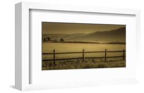 Schwartz - Yampa Valley Morning-Don Schwartz-Framed Premium Giclee Print