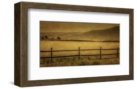 Schwartz - Yampa Valley Morning-Don Schwartz-Framed Premium Giclee Print