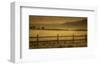 Schwartz - Yampa Valley Morning-Don Schwartz-Framed Premium Giclee Print