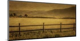 Schwartz - Yampa Valley Morning-Don Schwartz-Mounted Premium Giclee Print