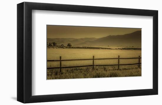 Schwartz - Yampa Valley Morning-Don Schwartz-Framed Art Print