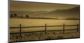 Schwartz - Yampa Valley Morning-Don Schwartz-Mounted Art Print