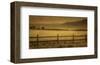 Schwartz - Yampa Valley Morning-Don Schwartz-Framed Art Print