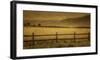 Schwartz - Yampa Valley Morning-Don Schwartz-Framed Art Print