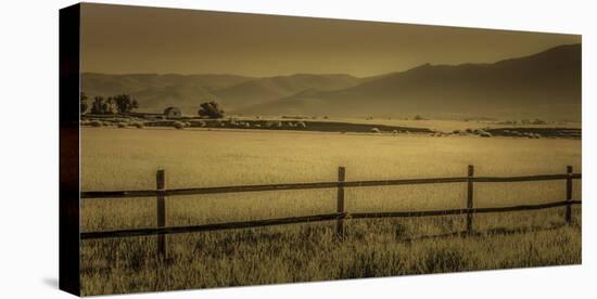 Schwartz - Yampa Valley Morning-Don Schwartz-Stretched Canvas