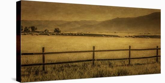 Schwartz - Yampa Valley Morning-Don Schwartz-Stretched Canvas