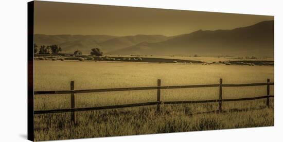 Schwartz - Yampa Valley Morning-Don Schwartz-Stretched Canvas