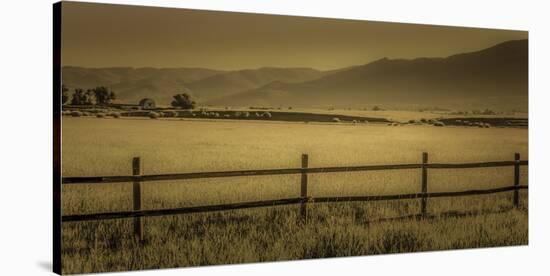 Schwartz - Yampa Valley Morning-Don Schwartz-Stretched Canvas