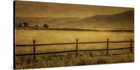 Schwartz - Yampa Valley Morning-Don Schwartz-Stretched Canvas
