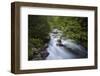 Schwarzbach River-Willowisp-Framed Photographic Print