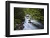 Schwarzbach River-Willowisp-Framed Photographic Print