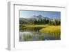 Schwarzhorn, Grindelwald, the Bernese Oberland, Switzerland-Rainer Mirau-Framed Photographic Print