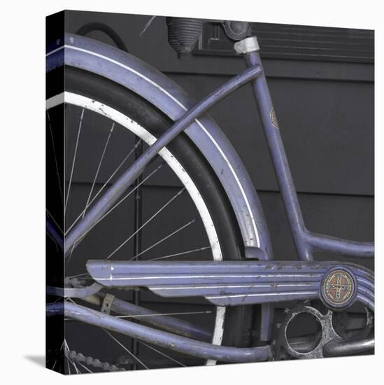 Schwinn 1-Stephen Gassman-Stretched Canvas