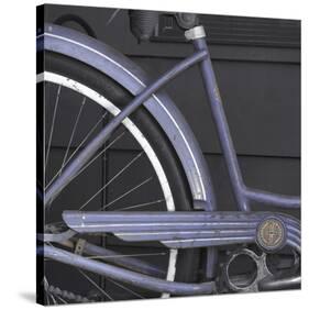 Schwinn 1-Stephen Gassman-Stretched Canvas