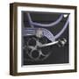 Schwinn 2-Stephen Gassman-Framed Art Print