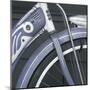 Schwinn 3-Stephen Gassman-Mounted Giclee Print